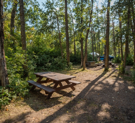 Campsites at Ol’ MacDonald’s Resort